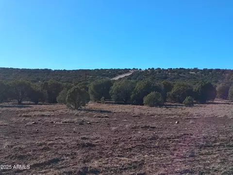 5 County Rd N8285 -- #-, Concho, AZ 85924 photo 10
