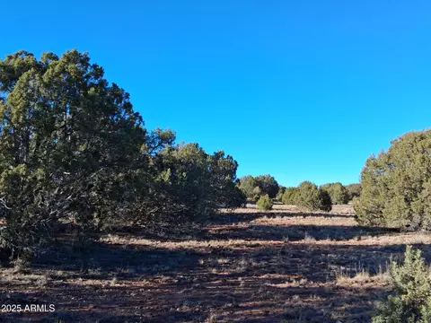 5 County Rd N8285 -- #-, Concho, AZ 85924 photo 6