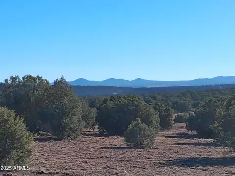 5 County Rd N8285 -- #-, Concho, AZ 85924 photo 5