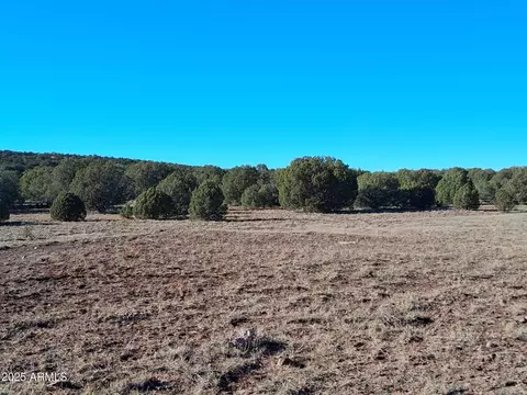 5 County Rd N8285 -- #-, Concho, AZ 85924 photo 11