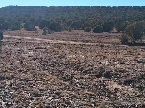 5 County Rd N8285 -- #-, Concho, AZ 85924 photo 14