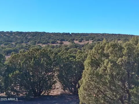 5 County Rd N8285 -- #-, Concho, AZ 85924 photo 16