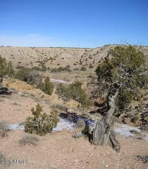 150 N County Rd N 6100 -- #_, Saint Johns, AZ 85936