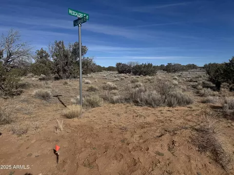 lot98 Woodland Valley Rnch #98, Saint Johns, AZ 85936