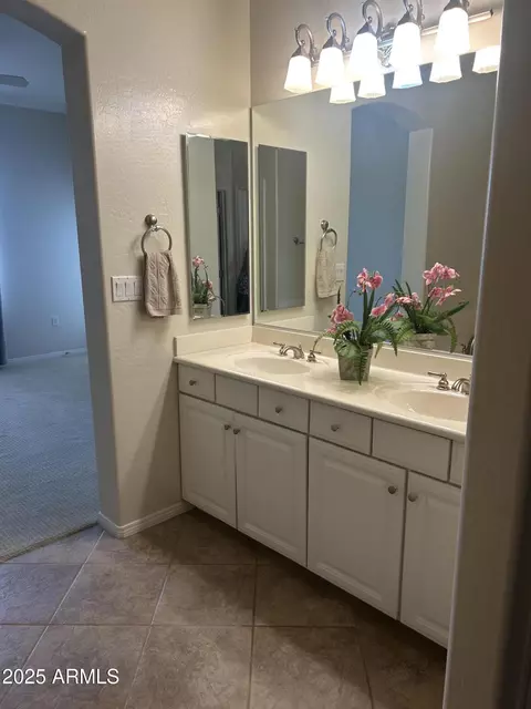 Bath - 3131 E Legacy Dr #1002, Phoenix, AZ 85042 photo 2 of 4