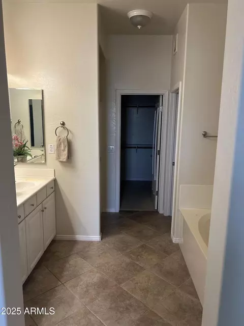 Bath - 3131 E Legacy Dr #1002, Phoenix, AZ 85042 photo 1 of 4