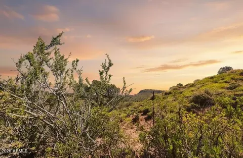 55 Foxtail Cir #55, Pine, AZ 85544 photo 4