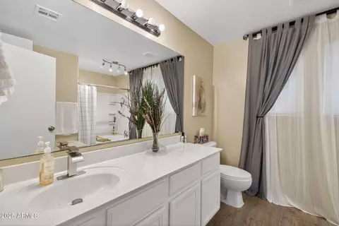 Bath - 1444 S Longspur Ln, Gilbert, AZ 85296 photo 1 of 3