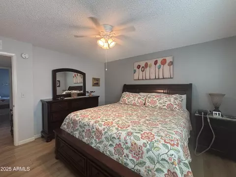Bedroom - 4636 Elena Ave, Mesa, AZ 85206 photo 2 of 4