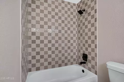 Bath - 3350 E Florian Ave, Mesa, AZ 85204 photo 2 of 5