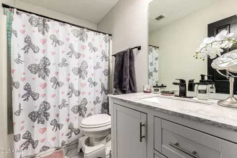 Bath - 4530 E Decatur St, Mesa, AZ 85205 photo 1 of 4