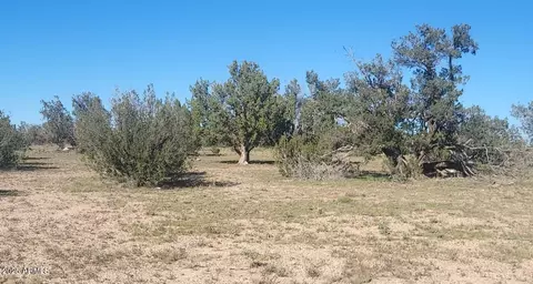 10 Acres N Tanner Rd NE #17F, Ash Fork, AZ 86320 photo 6