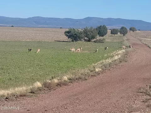 10 Acres N Tanner Rd NE #17F, Ash Fork, AZ 86320 photo 9