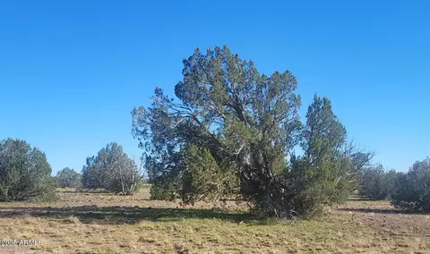 10 Acres N Tanner Rd NE #17F, Ash Fork, AZ 86320 photo 3