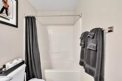 Bath - 316 E Laredo Ave, Gilbert, AZ 85296 photo 4 of 4