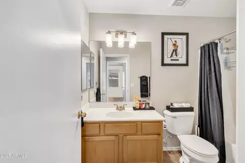 Bath - 316 E Laredo Ave, Gilbert, AZ 85296 photo 3 of 4