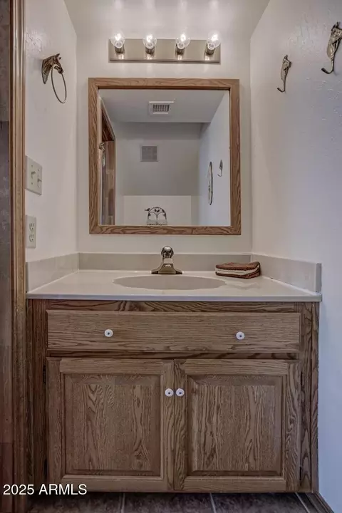 Bath - 5838 E Arroyo Way, Pine, AZ 85544 photo 4 of 4