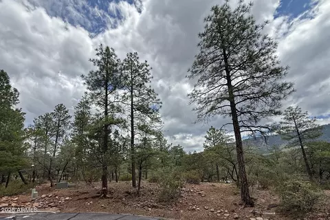Other - 5838 E Arroyo Way, Pine, AZ 85544 photo 8 of 15