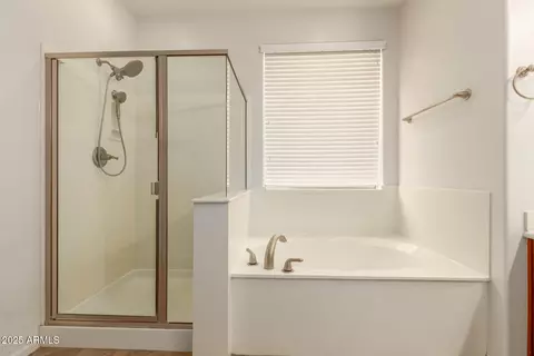 Bath - 11245 E Stearn Ave, Mesa, AZ 85212 photo 3 of 5