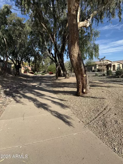 Other - 737 E Betsy Ln, Gilbert, AZ 85296 photo 14 of 16