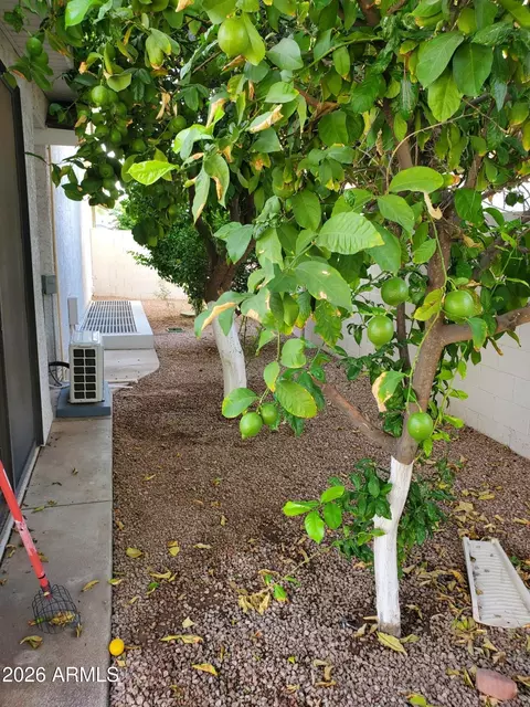 Exterior - 1146 E Jensen St, Mesa, AZ 85203 photo 6 of 7