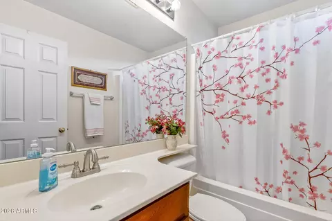 Bath - 7617 E Portobello Ave, Mesa, AZ 85212 photo 1 of 3