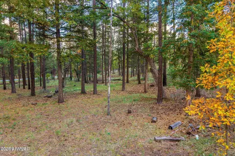 000 County Road 2196 -- #74A, Alpine, AZ 85920