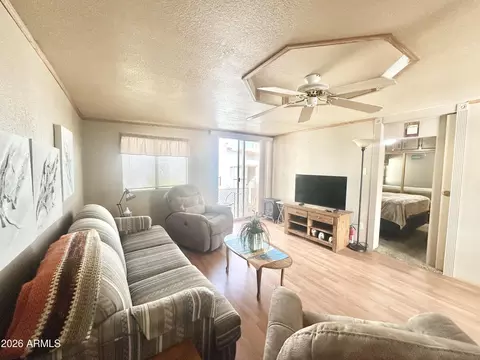 1015 S Propsector Dr, Apache Junction, AZ 85119 photo 57