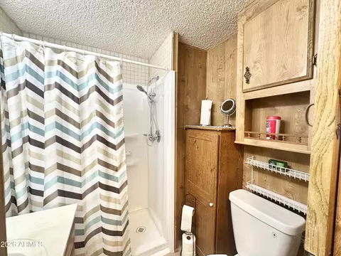 1015 S Propsector Dr, Apache Junction, AZ 85119 photo 43