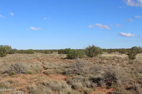 Sec 3 T14n,r17e:se4 -- #-, Heber, AZ 85928
