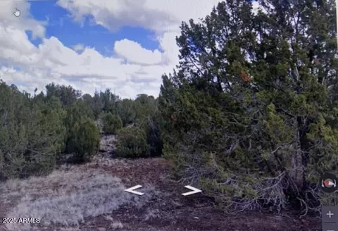 8426 Silver Creek Dr #1, Show Low, AZ 85901