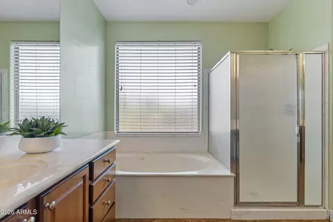 Bath - 1341 E Macaw Ct, Gilbert, AZ 85297 photo 5 of 7