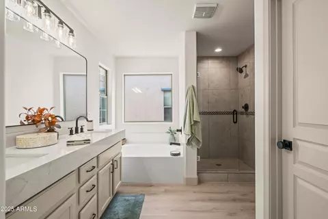 Bath - 3745 E Flamingo Way, Gilbert, AZ 85297 photo 4 of 4