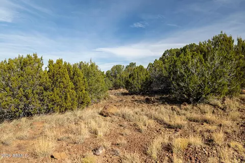 9 Acr 8111 -- #674, Concho, AZ 85924