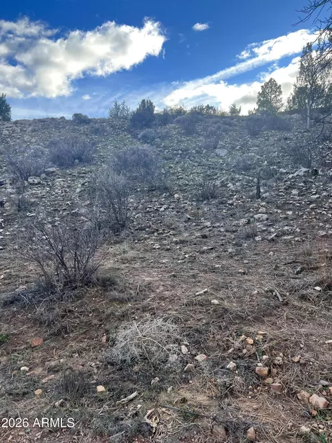 2820 Pine Hill Dr #20, Overgaard, AZ 85933