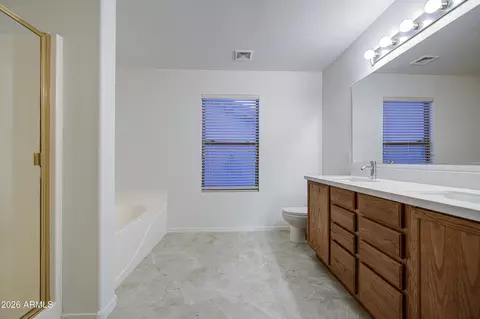 Bath - 3039 S Mandy St, Mesa, AZ 85212 photo 3 of 11