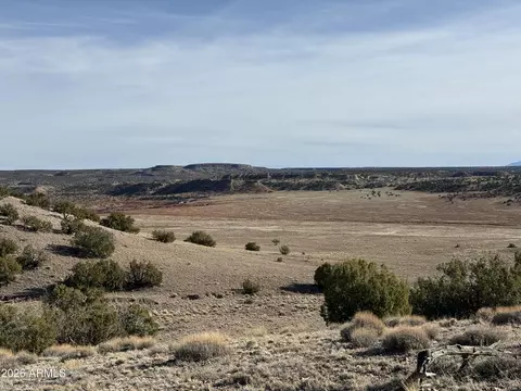 lot197 Unit 6 River Springs Rnch #197, Saint Johns, AZ 85936