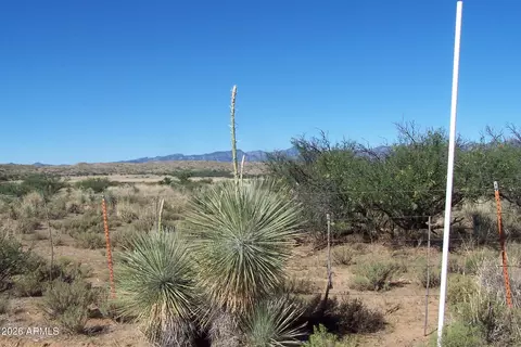 81 S 24ac S Warpaint Path #13&14, Willcox, AZ 85643