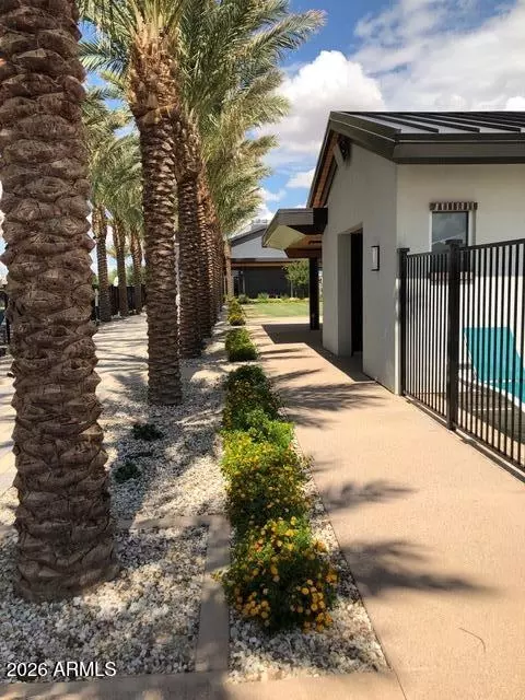 Exterior - 9846 E Talon Ave, Mesa, AZ 85212 photo 6 of 7