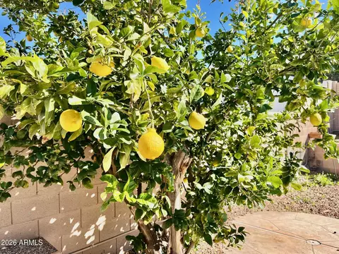 Other - 1701 E Yukon Dr, Phoenix, AZ 85024 photo 13 of 14