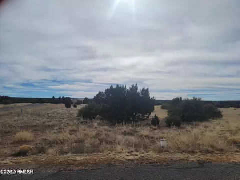 1961 Creekside Cir #074, Show Low, AZ 85901