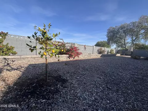 Exterior - 4150 E Carmel Ave, Mesa, AZ 85206 photo 10 of 12