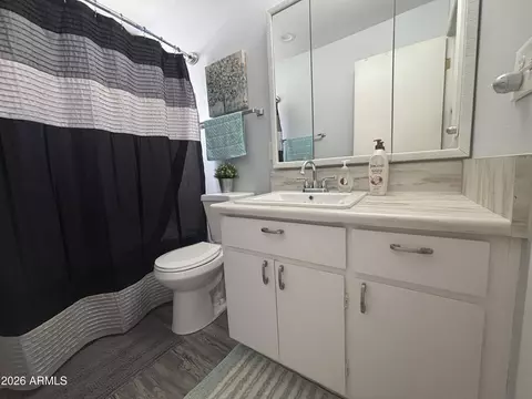 Bath - 4150 E Carmel Ave, Mesa, AZ 85206 photo 4 of 4
