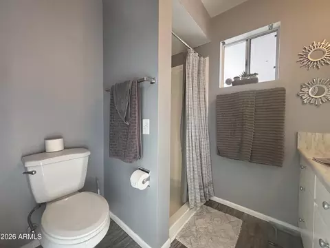 Bath - 4150 E Carmel Ave, Mesa, AZ 85206 photo 3 of 4