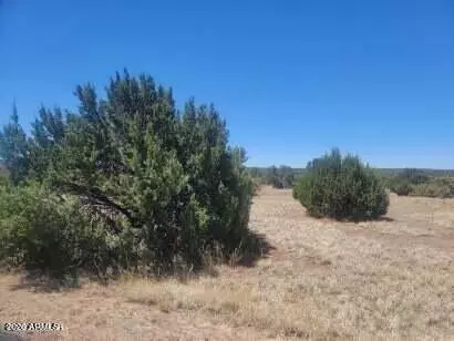 8435 Lake View Dr #84, Show Low, AZ 85901