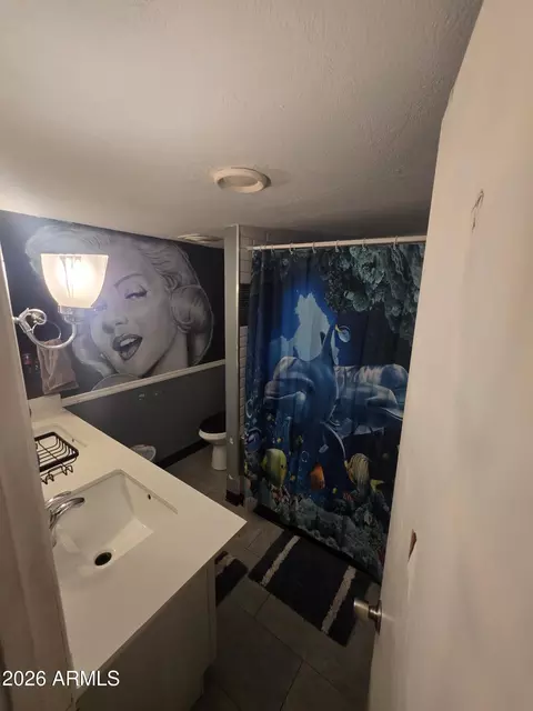 Bath - 1443 E Pepper Pl Pl, Mesa, AZ 85203 photo 3 of 5