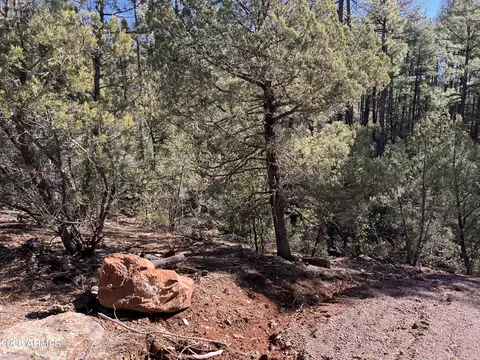 0 Fawn Dr #1B, Pine, AZ 85544 photo 13