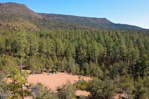 0 Fawn Dr #1B, Pine, AZ 85544 photo 5