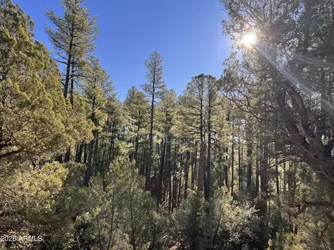0 Fawn Dr #1B, Pine, AZ 85544 photo 14
