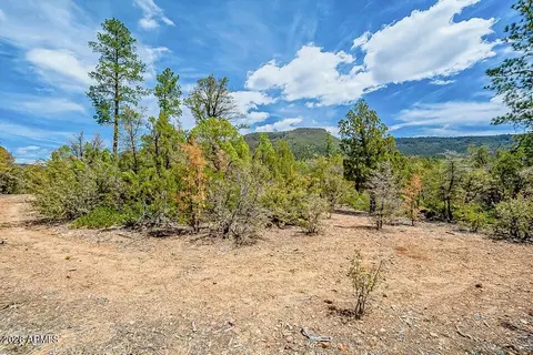 0 Fawn Dr #1B, Pine, AZ 85544 photo 2